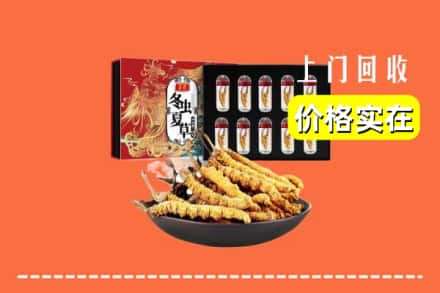 云林县回收冬虫夏草