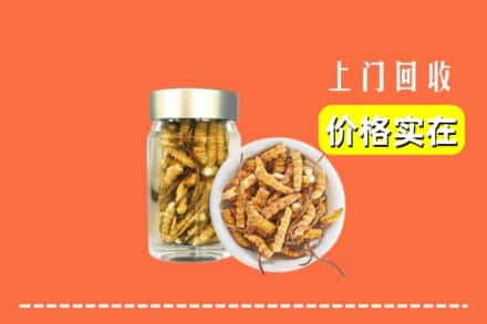 收购资讯:云林县回收散虫草
